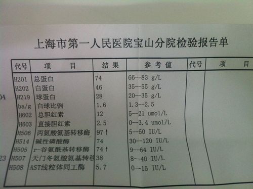 健康肝功能化验单解读