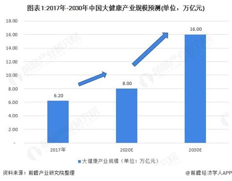 大健康产业发展