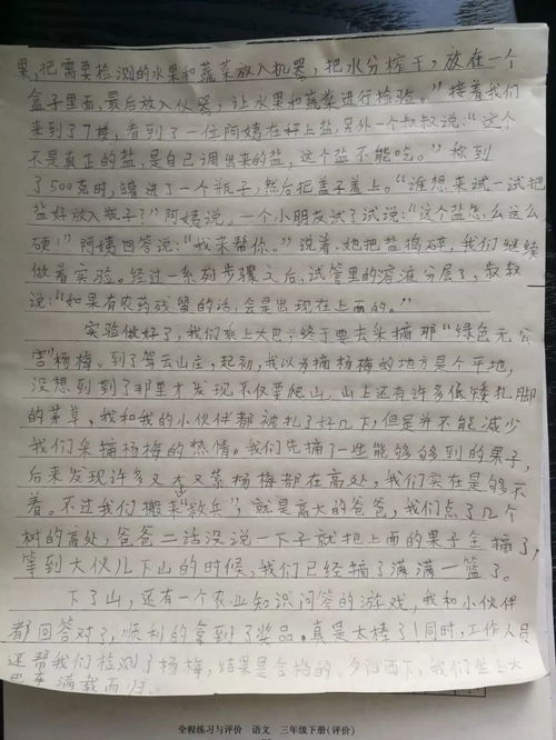 健康小卫士作文600字