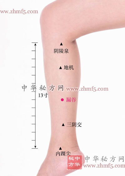 阴陵泉的位置图和作用视频