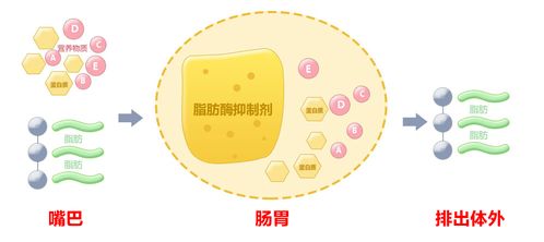 who最新的健康标准定义