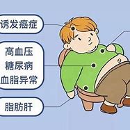 肥胖对男性健康的危害