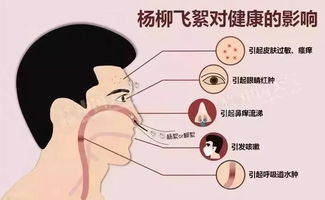 痛风发作的早期信号与综合治疗策略