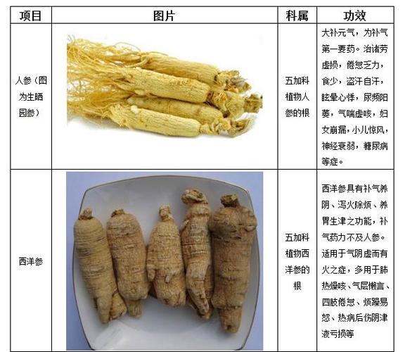 西洋参（Panaxquinquefolius）的作用与功效一项综合研究

摘要
西洋参，学名为Panaxquinquefolius，是一种原产于北美洲的多年生草本植物，其根部被广泛用作草药。本文旨在探讨西洋参的化学成分、药理作用及其在健康管理中的应用。通过综合分析多项科学研究，本文揭示了西洋参在增强免疫力、改善认知功能、抗疲劳、调节血糖和血脂等方面的潜在功效。

1.引言
西洋参作为一种传统草药，在中医和西方草药学中均有悠久的使用历史。近年来，随着对其生物活性成分的深入研究，西洋参的现代药理作用