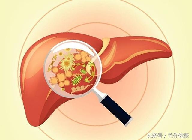 乙型肝炎症状早期症状和前兆