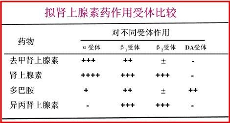 **激发品牌活力以肾上腺素能受体为核心的新媒体战略

**