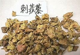 蒺藜的功效与作用禁忌