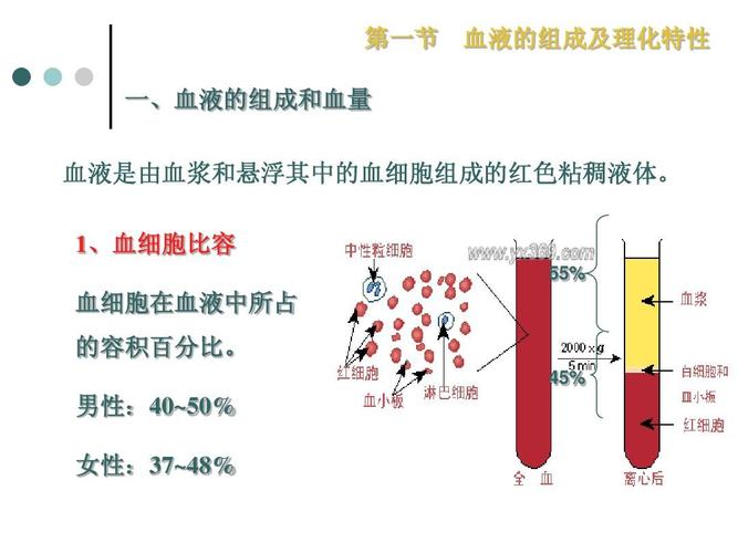 血液中的微观世界血细胞比容的奥秘与意义