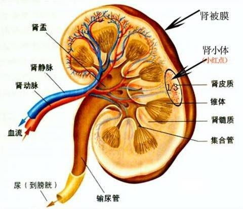 微型故事草原上的奇迹