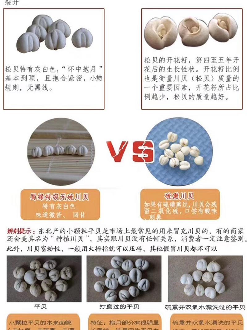 川贝的作用与功效有哪些