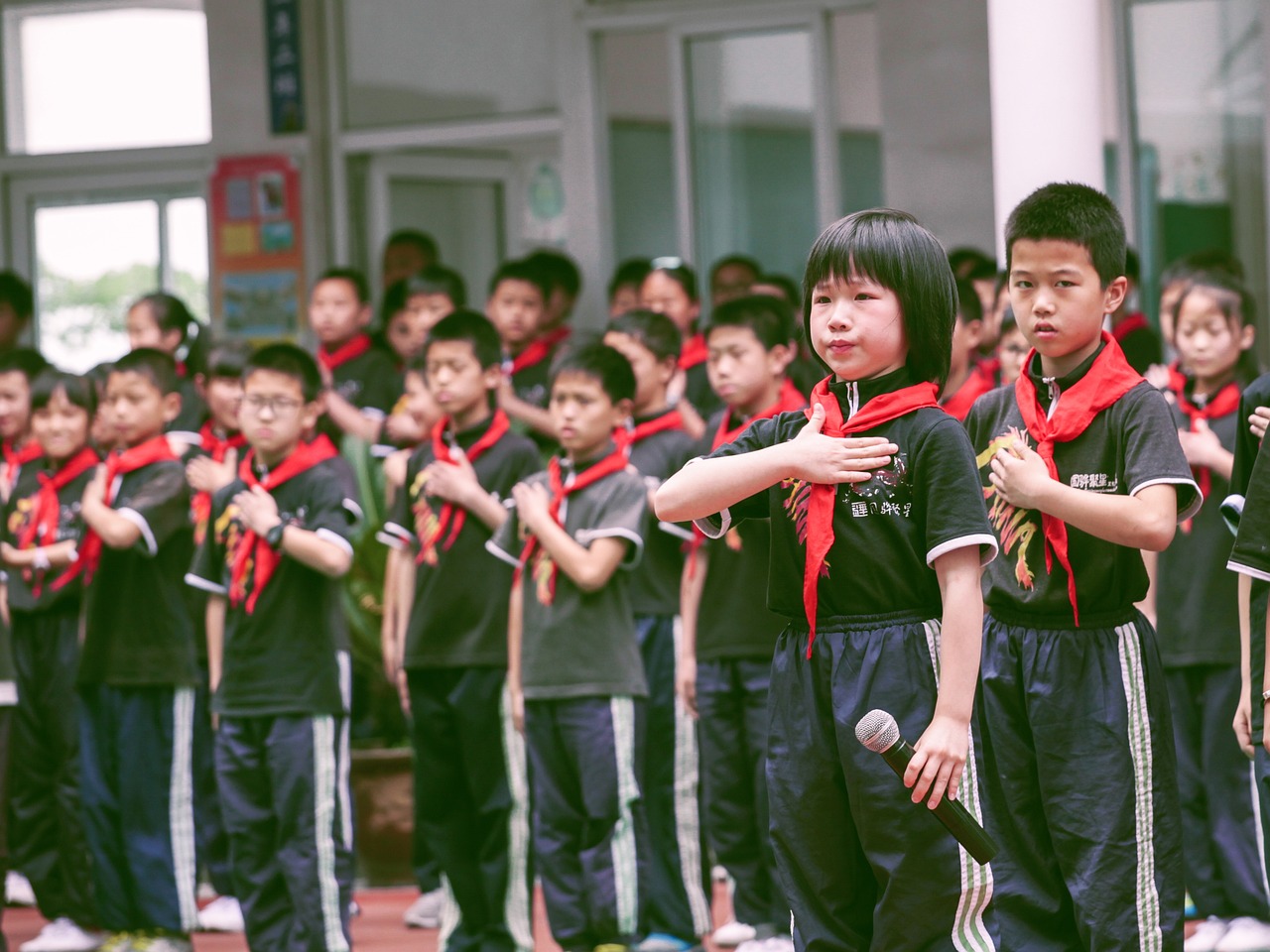 任性的小学心理健康教育方案