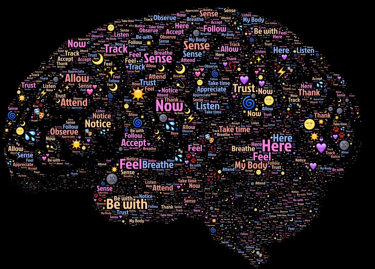 传统智慧与现代科学的碰撞