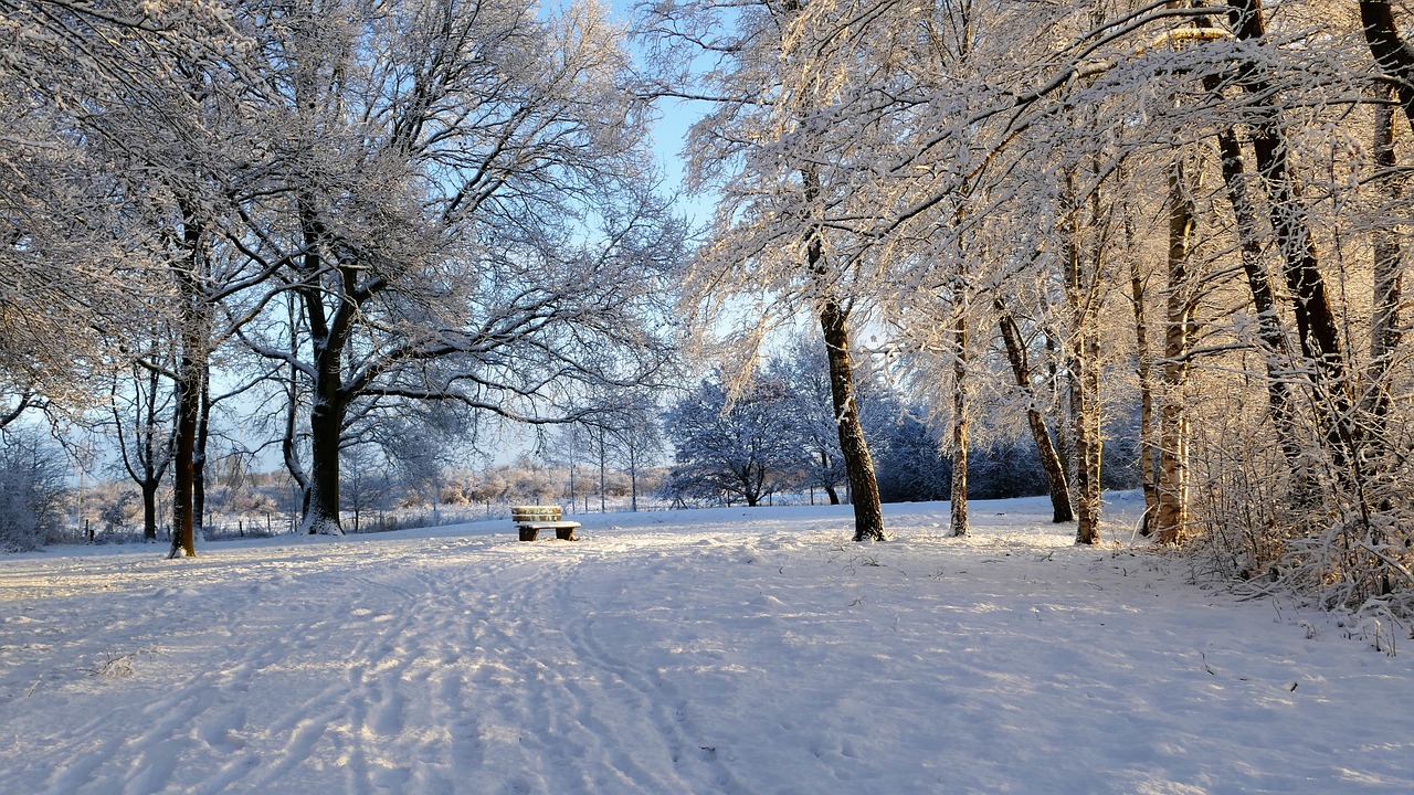 这句话非常形象地描述了冰雪运动的活力和人们的热情。即使在寒冷的天气里，人们的心仍然充满了热情和动力，积极参与冰雪运动。