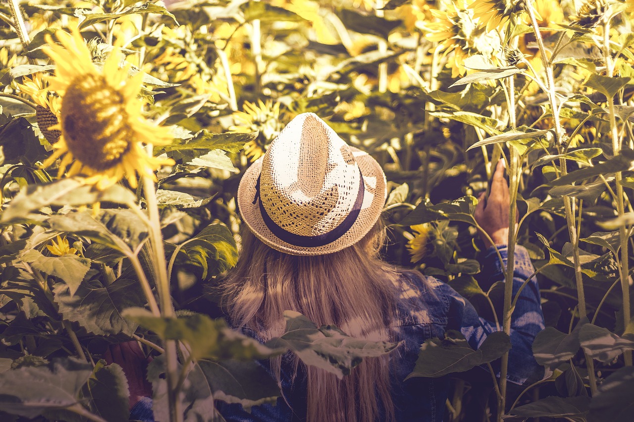 自然的解药——从古至今的养生智慧